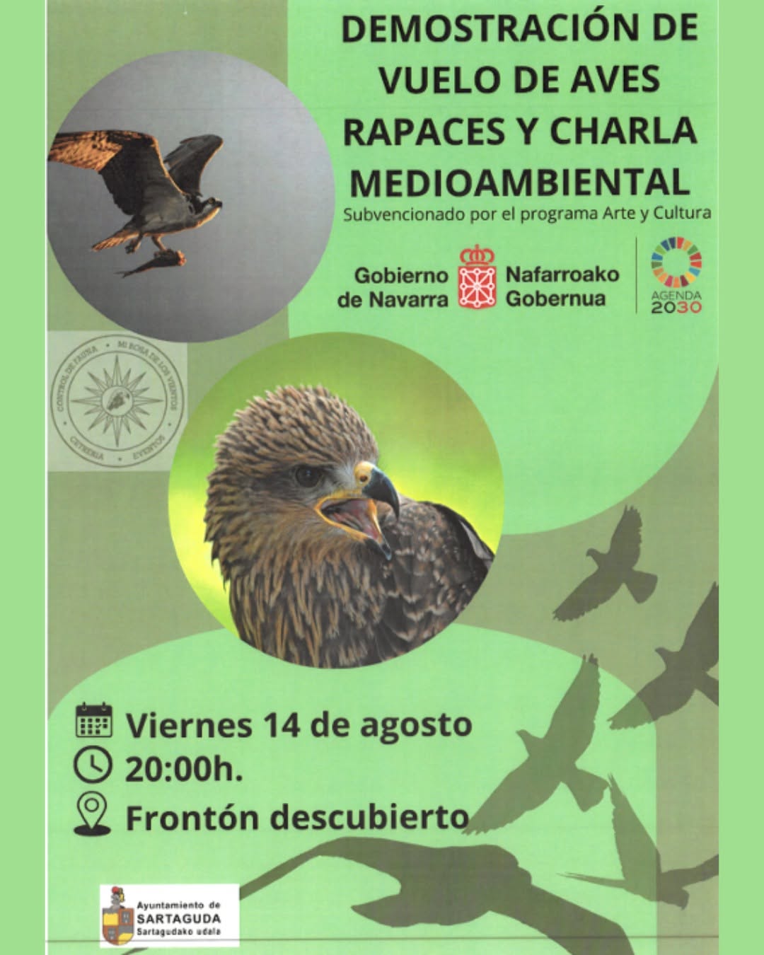 Demostración de vuelo de aves en Sartaguda