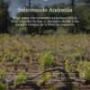 Foto promocional Ruta Saboreando Andosilla Proyecto Paisajes Enogastronómicos