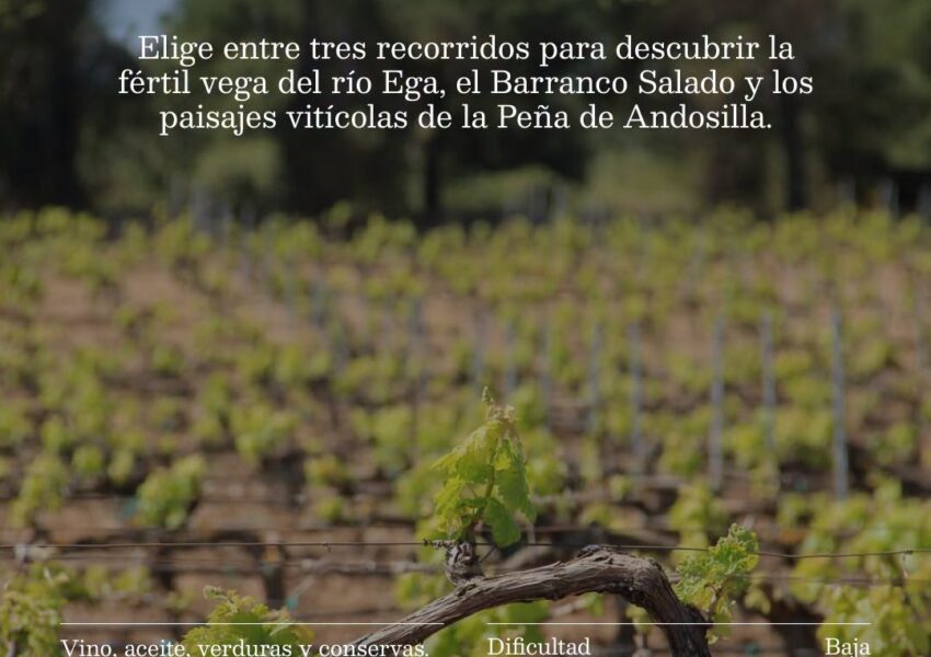 Foto promocional Ruta Saboreando Andosilla Proyecto Paisajes Enogastronómicos